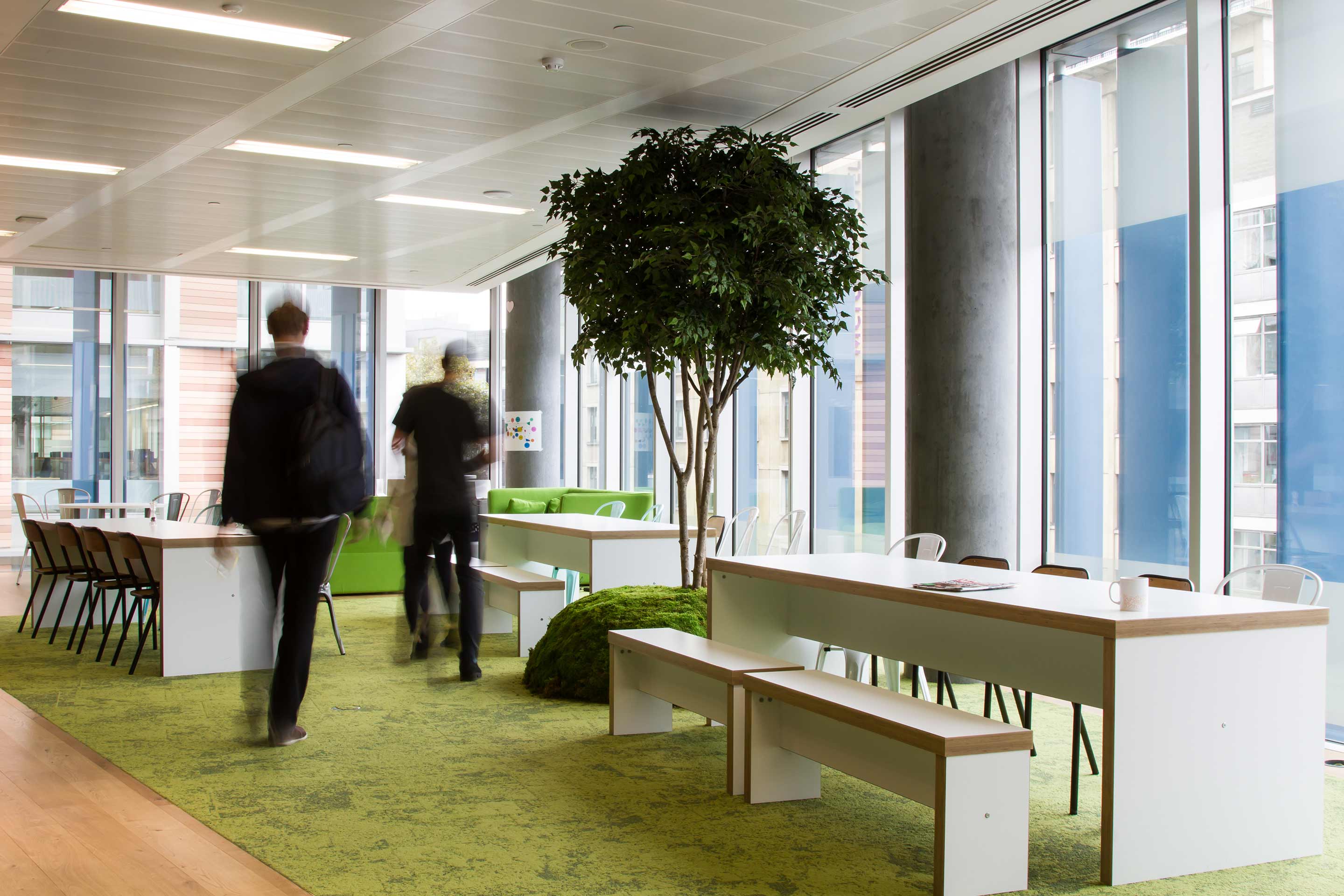 Biophilic design incorporated into social spaces