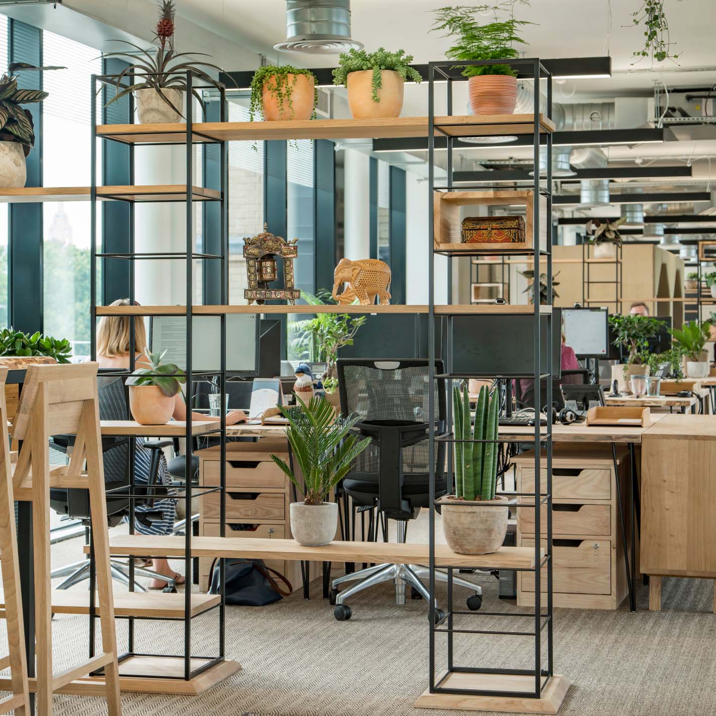 Modern office with biophilia