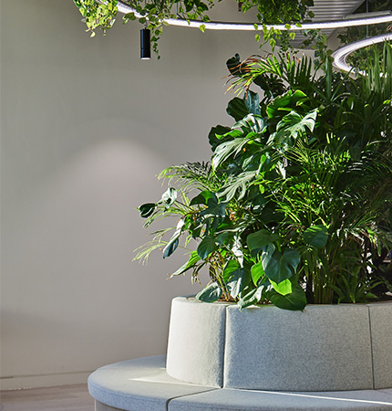 a large collection of plants within a seating area