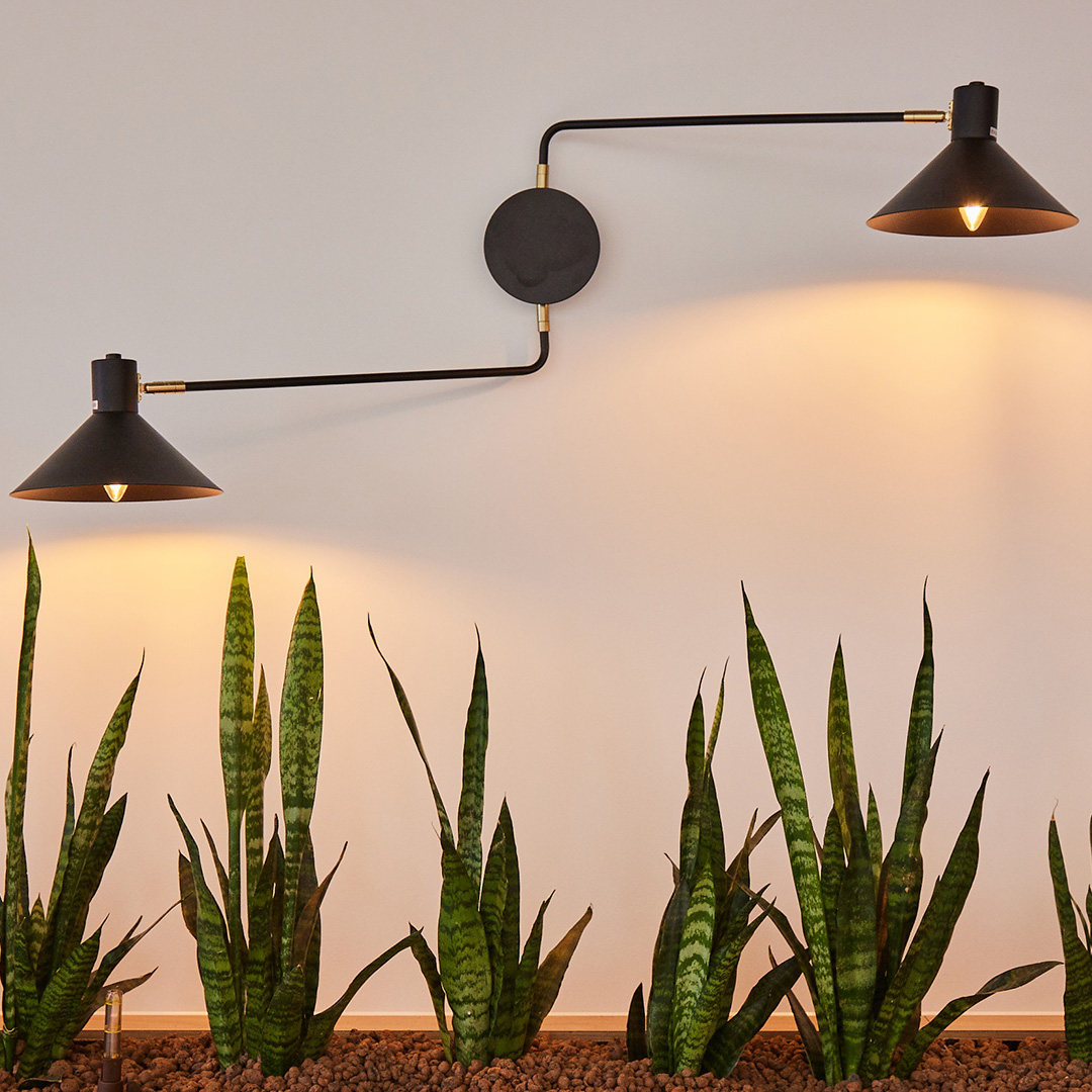 a series of snake plants underneath wall mounted lamps