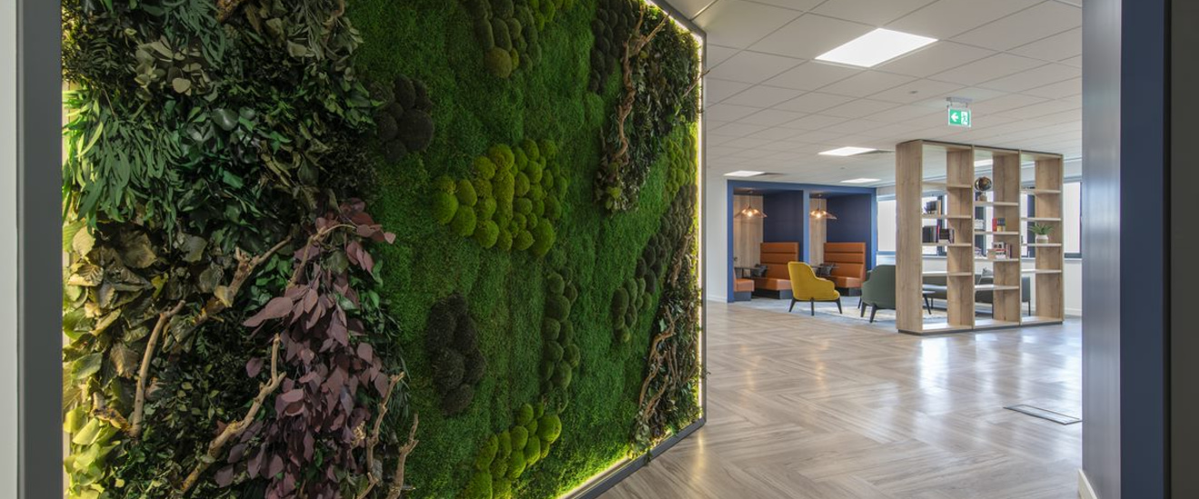 Moss wall in a workplace