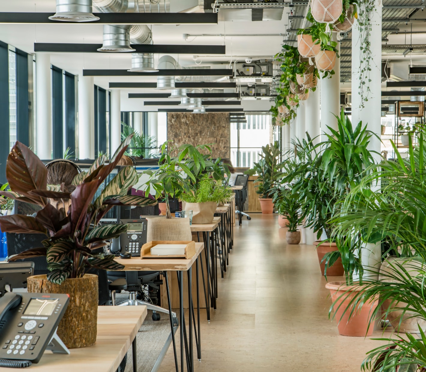 Modern office with biophilia