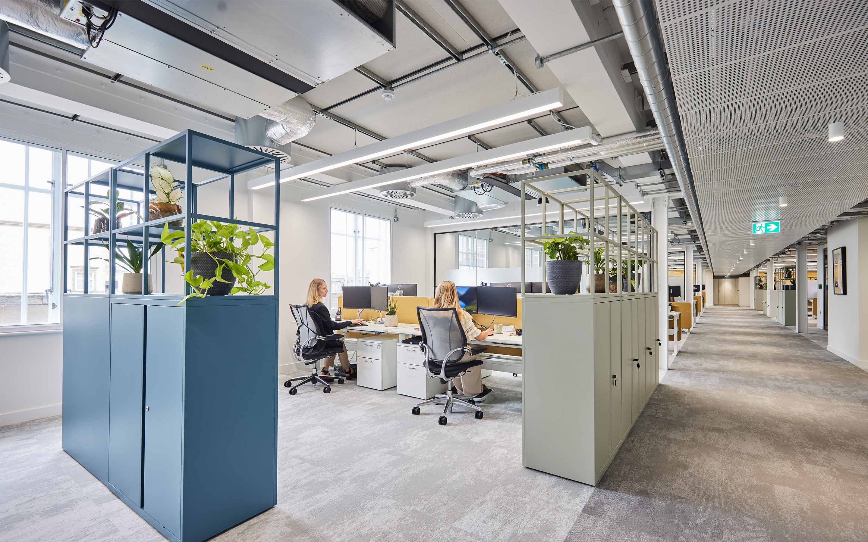 Employees sitting at their desks in an open plan office. The space is cordoned off by filing units and plants