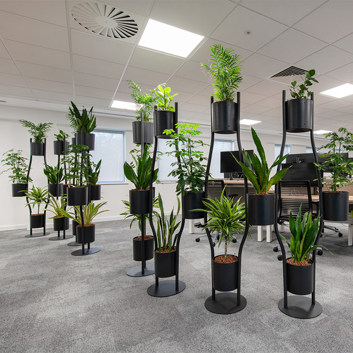 endomag biophilia workspace