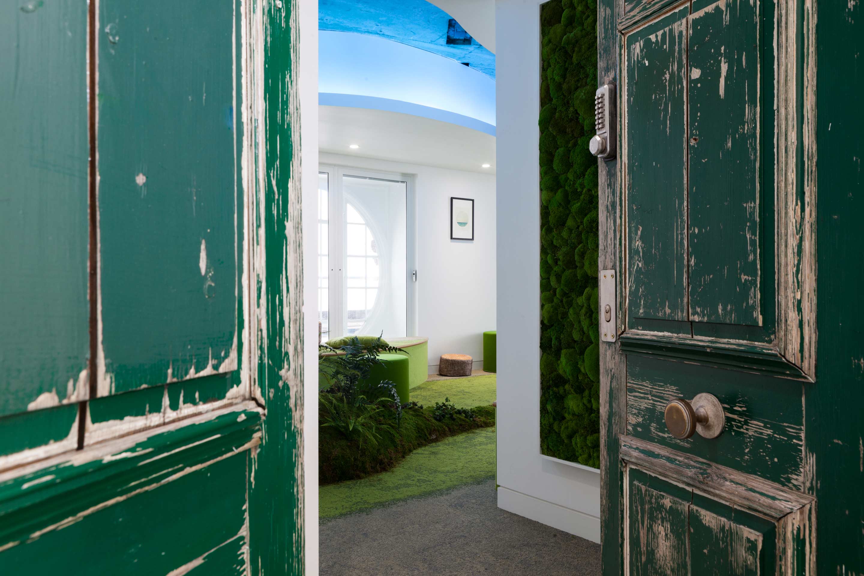 A half open weathered forest green wooden door viewing a green carpet with biophillia on top and blue lighting above