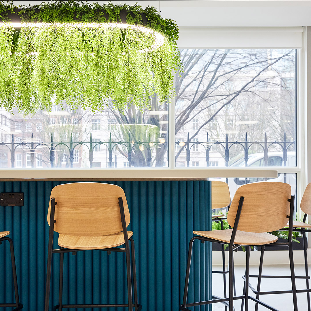 An inviting teapoint in an office interior design featuring a blue counter, wooden stools, and hanging plants