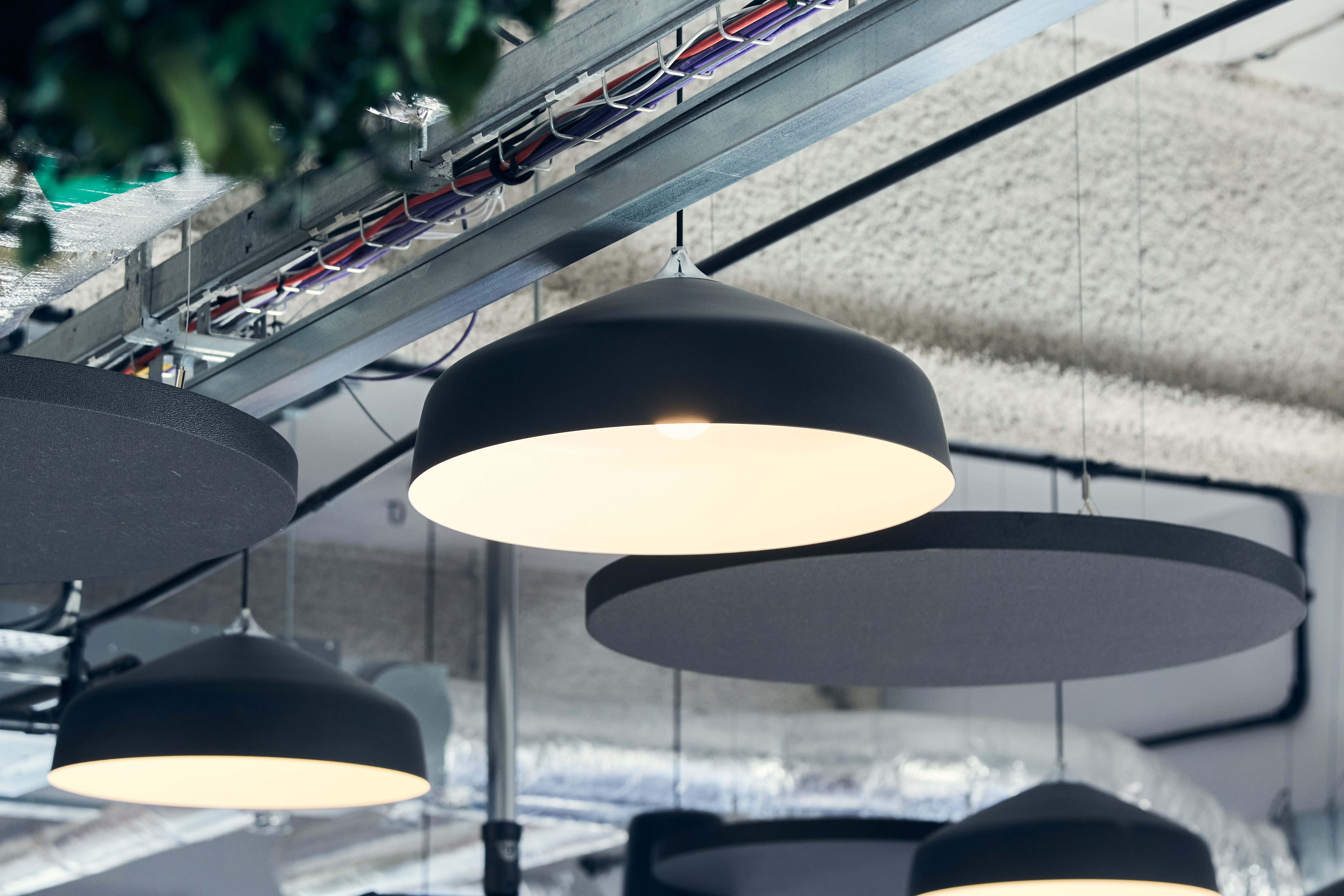 Light shades and acoustic panels hung from the ceiling of a commercial office workspaces