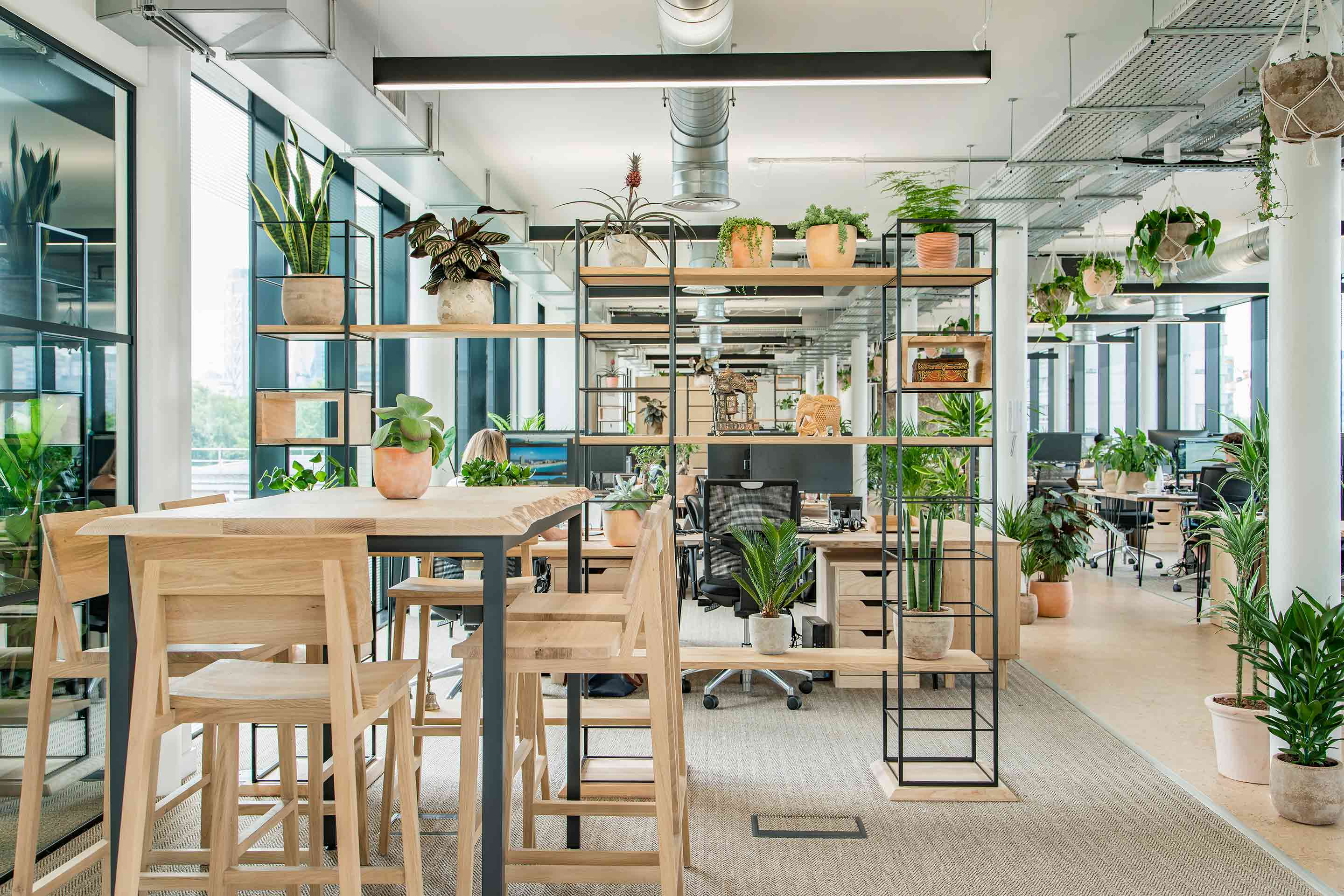 flexible collaboration area and shelving with lots of plants