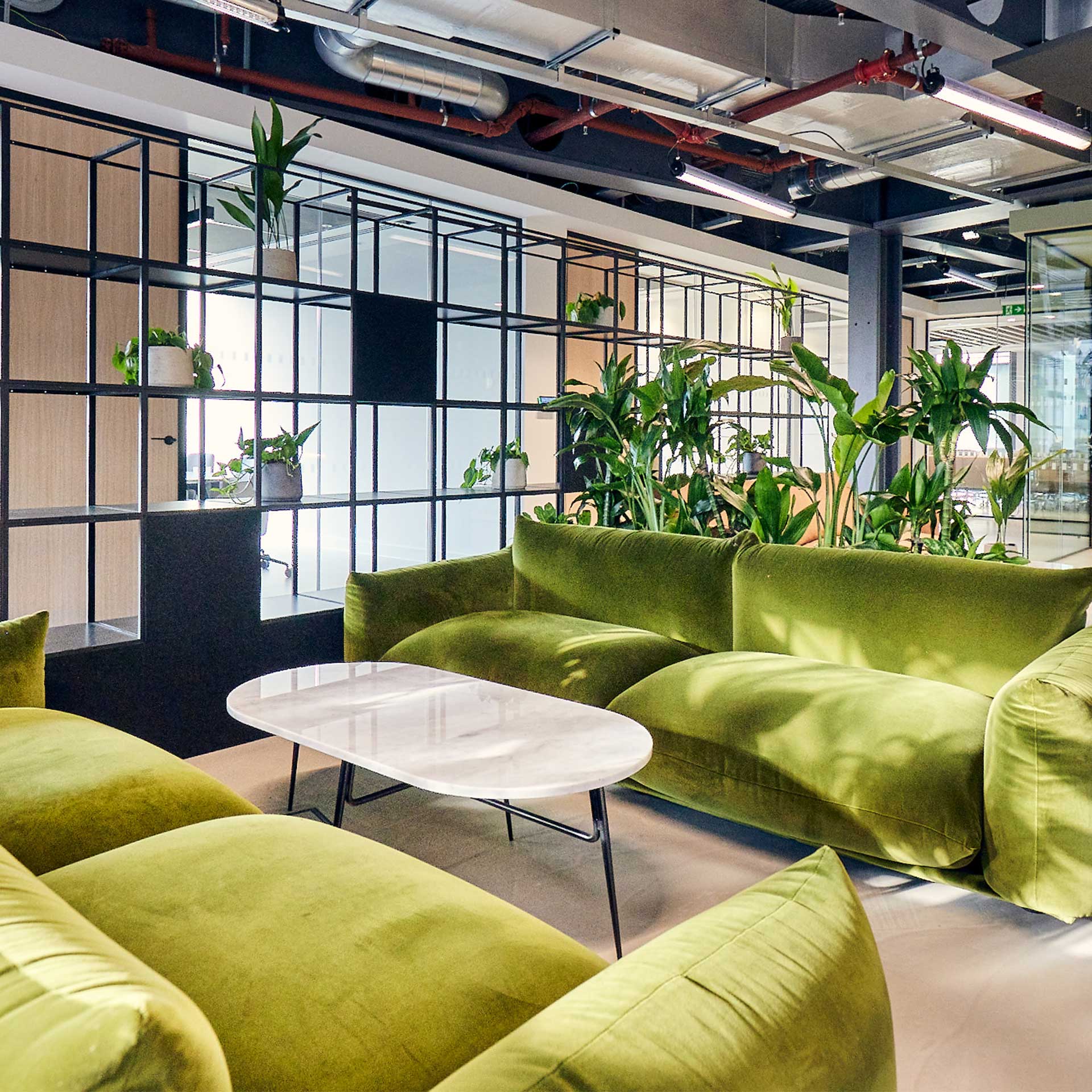 collaboration space with soft seating and plants and natural light