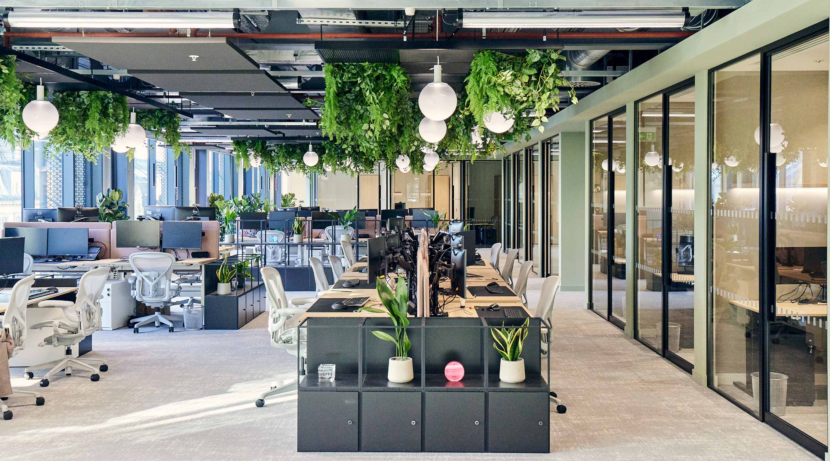 open plan office with lots of plants, natural light and comfortable chairs