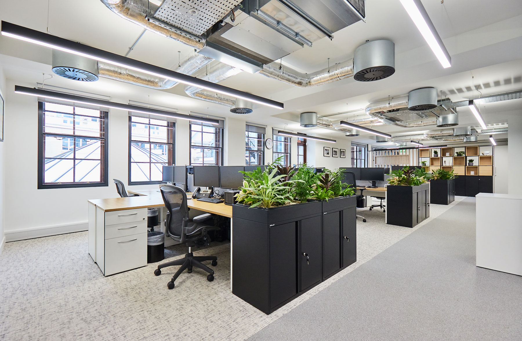 Biophilia flourishes in a modern office with desking and exposed mechanical and engineering services in the ceiling