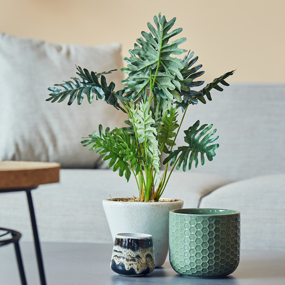 A small potted plant sits amongst a collection of pretty pottery plant pots, on an office table