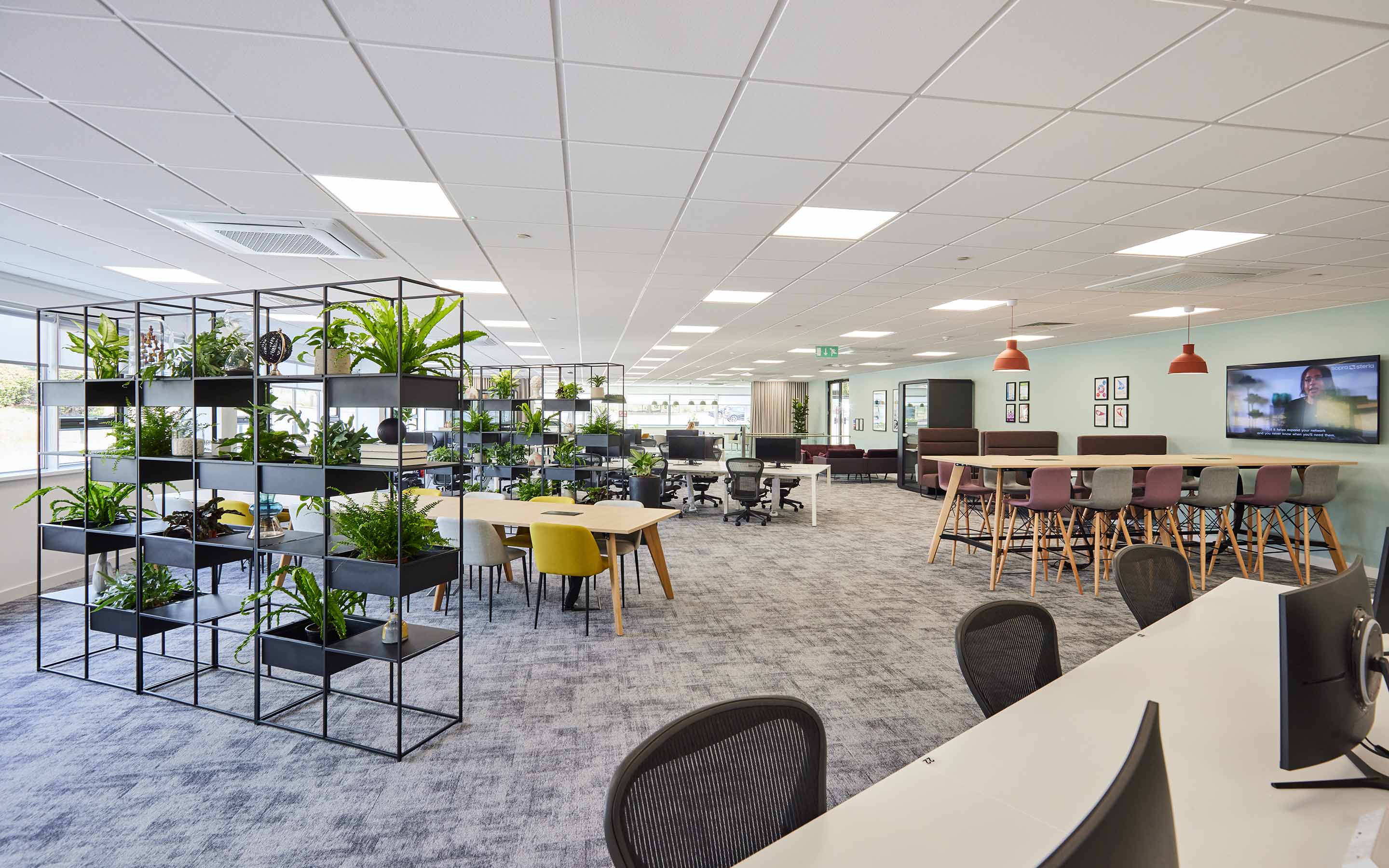The view of an open plan office features desking, high table collaboration areas, planting on shelving units, and a soft grey carpet