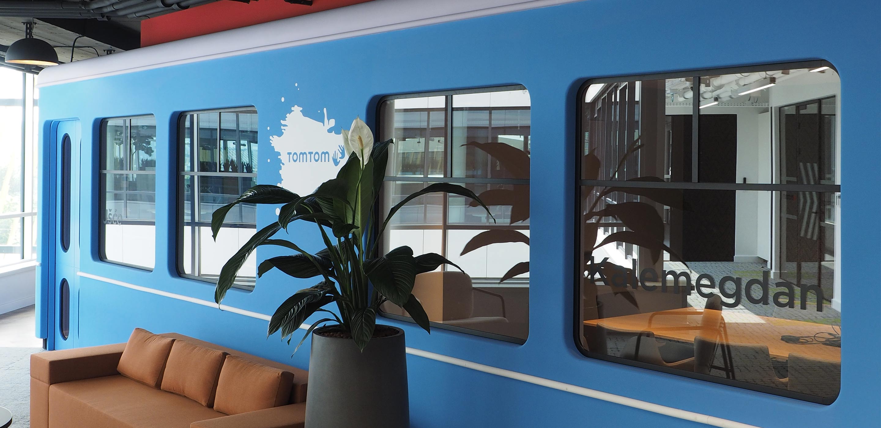 Outside a blue meeting room with a sofa and table plant