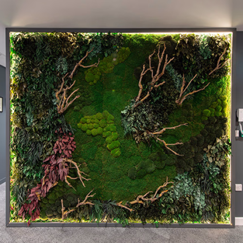 A vertical garden with a variety of green plants and branches mounted on an indoor wall.