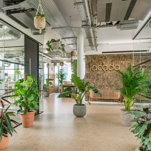 Modern office lobby with plants and