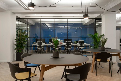 Collaboration spaces with incorporated biophilia