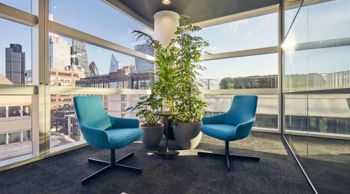break out space with natural light and view of this city with biophilia
